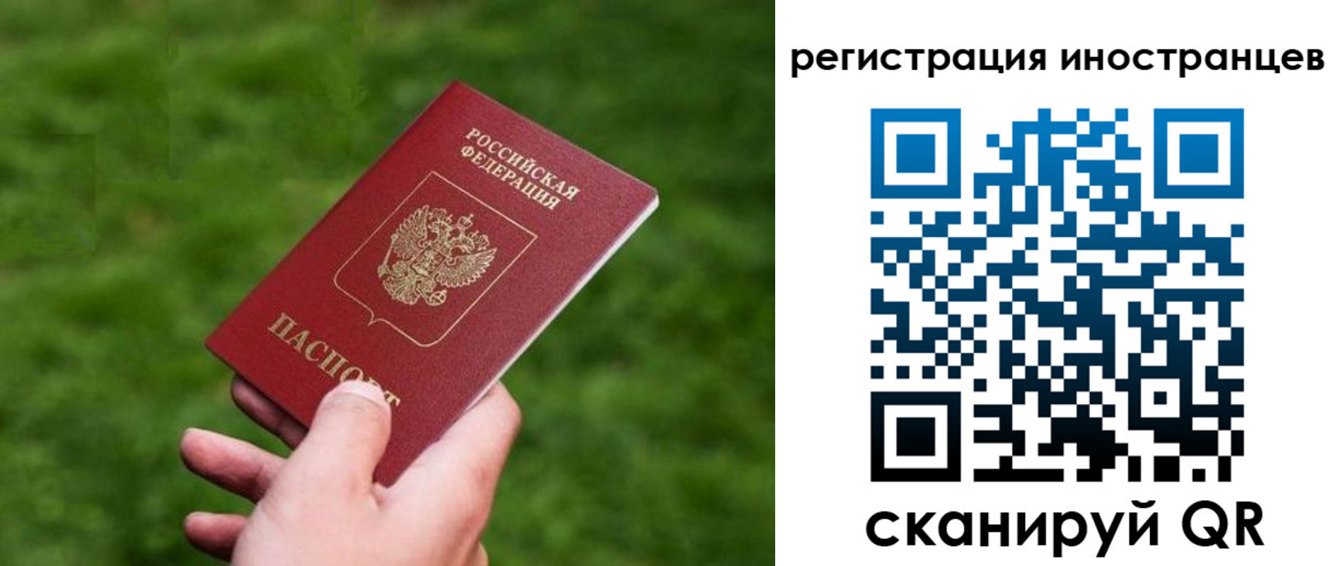 прописка ребенка в Шилке